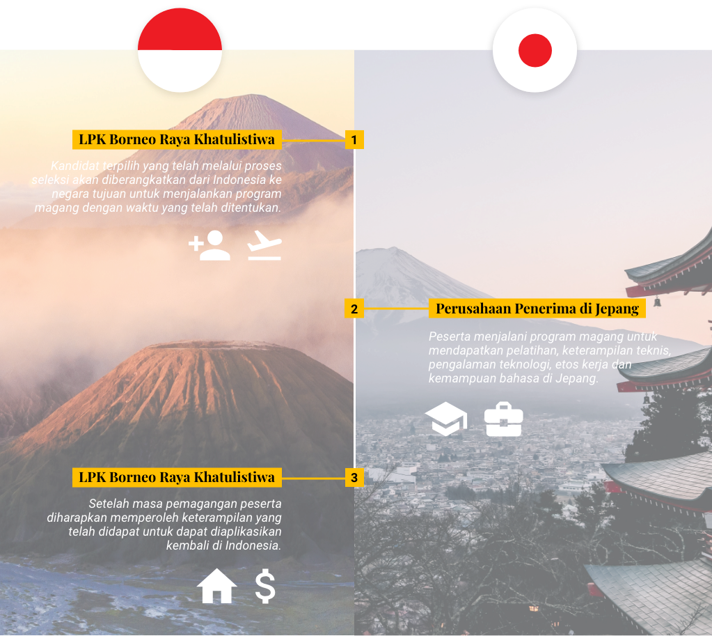 Infografis Magang